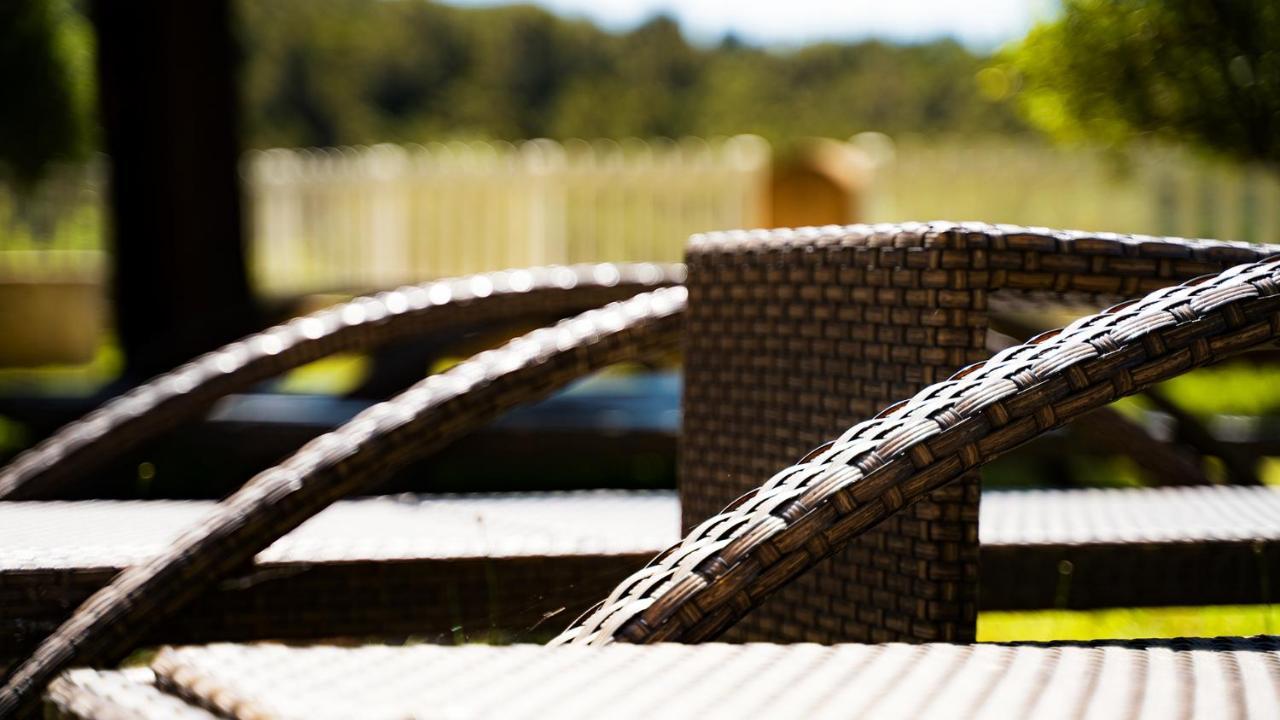 Sous Les Pins Gites Et Chambres D'Hotes La Londe-les-Maures Exteriér fotografie