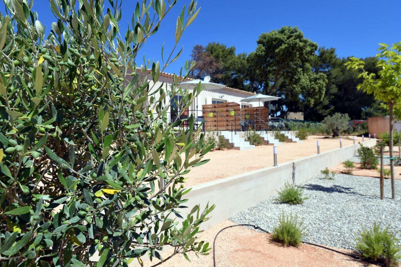 Sous Les Pins Gites Et Chambres D'Hotes La Londe-les-Maures Exteriér fotografie